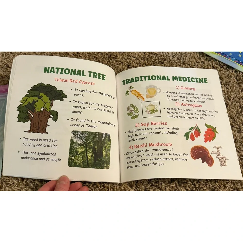 Usborne Geography Books (2)